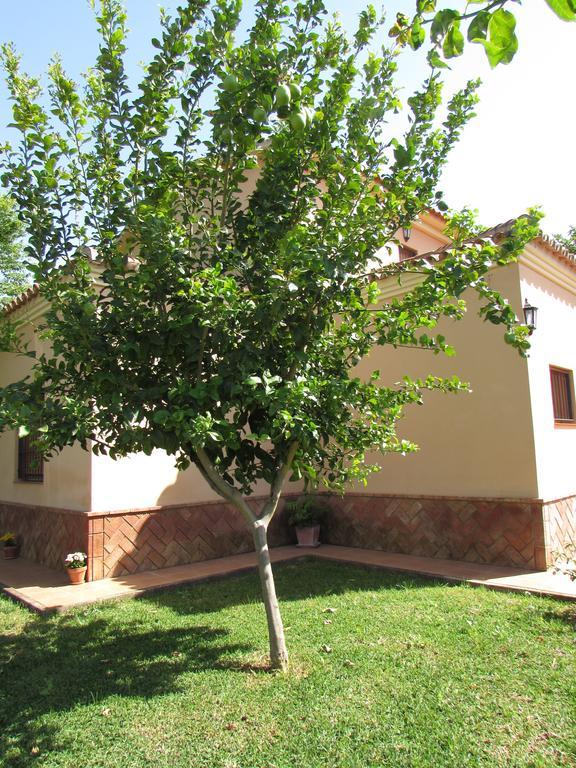 Casa Rural Oregano Carmona  Exteriör bild
