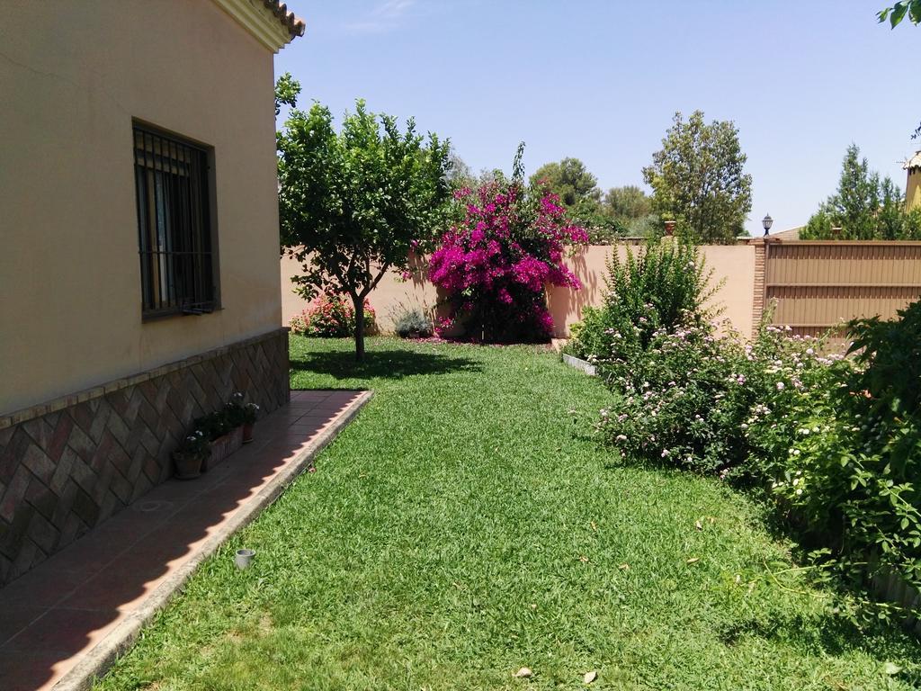 Casa Rural Oregano Carmona  Exteriör bild